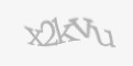 Защитный код