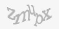 Защитный код